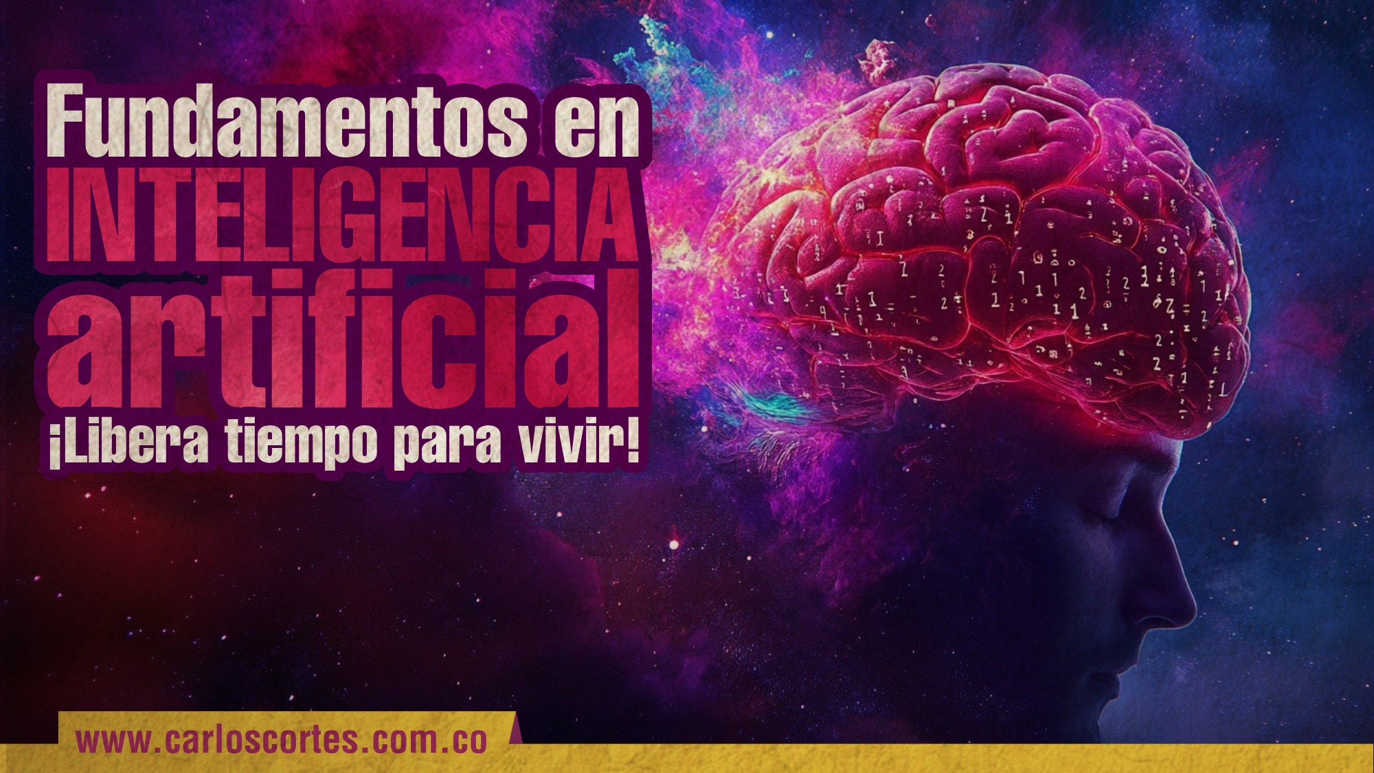 Imagen 10