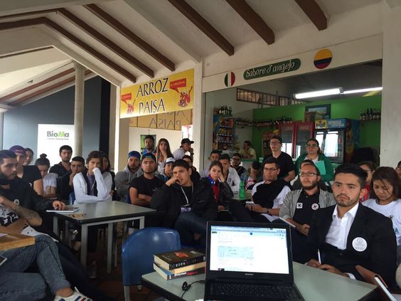 Imagen 2