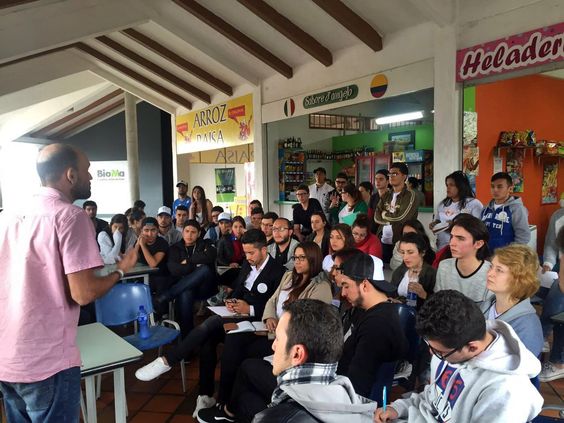 Imagen 5